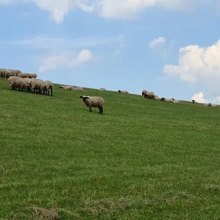Haus Seehund Direkt Hinterm Deich An Der Nordsee