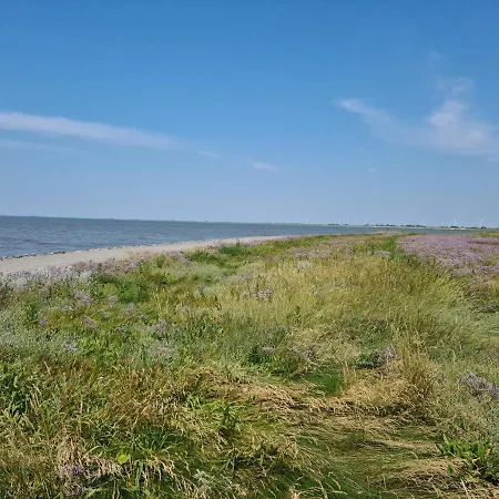 Haus Seehund Direkt Hinterm Deich An Der Nordsee Vakantiehuis Sehestedt (Lower-Saxony)