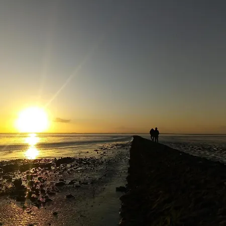 Vakantiehuis Haus Seehund Direkt Hinterm Deich An Der Nordsee *