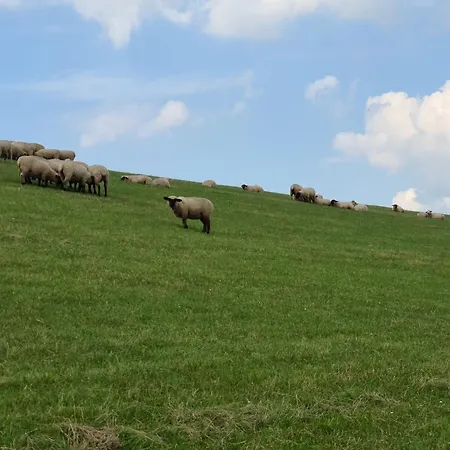 Haus Seehund Direkt Hinterm Deich An Der Nordsee * Sehestedt (Lower-Saxony)