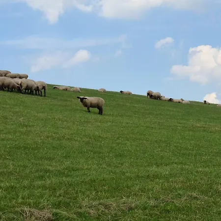Prázdninový dům Haus Seehund Direkt Hinterm Deich An Der Nordsee Sehestedt (Lower-Saxony)
