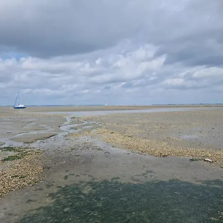 Haus Seehund Direkt Hinterm Deich An Der Nordsee