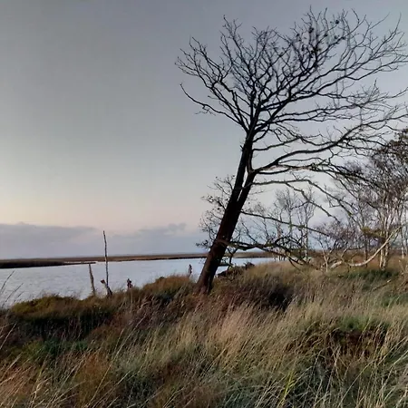 Haus Seehund Direkt Hinterm Deich An Der Nordsee Prázdninový dům