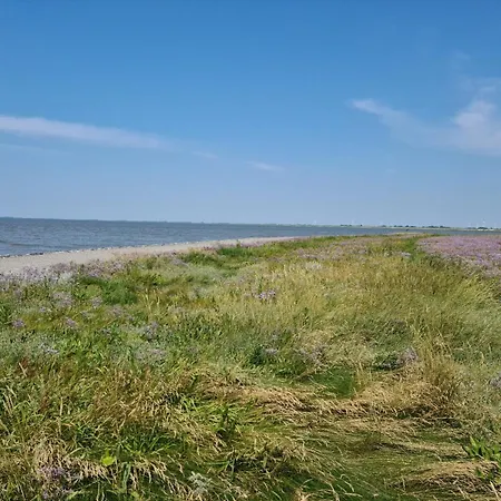 Prázdninový dům Haus Seehund Direkt Hinterm Deich An Der Nordsee *