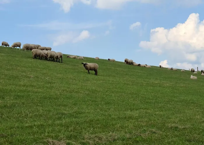 Haus Seehund Direkt Hinterm Deich An Der Nordsee * Sehestedt (Lower-Saxony)