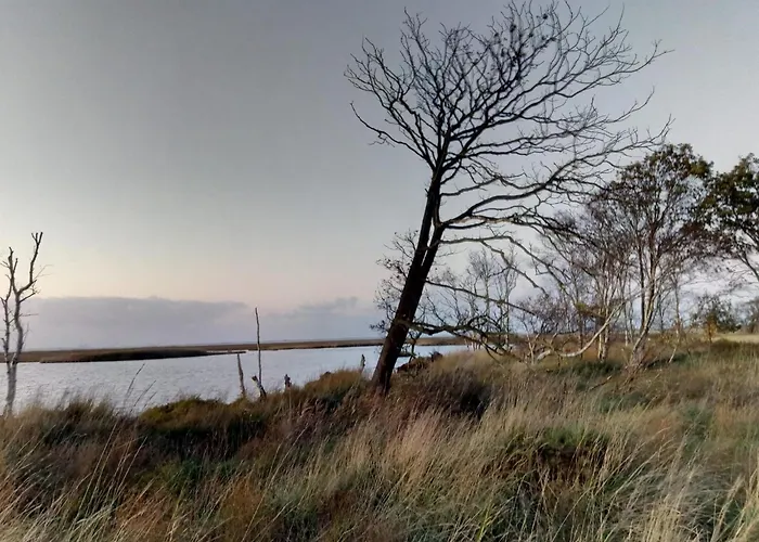 Haus Seehund Direkt Hinterm Deich An Der Nordsee Hébergement de vacances *