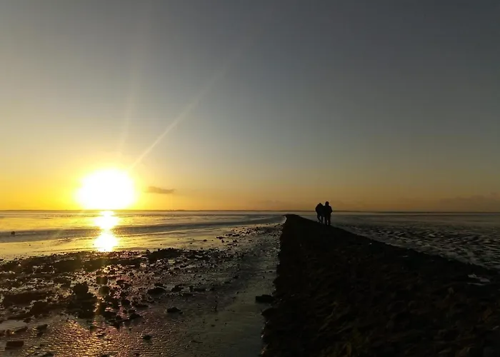 Haus Seehund Direkt Hinterm Deich An Der Nordsee 펜션 *