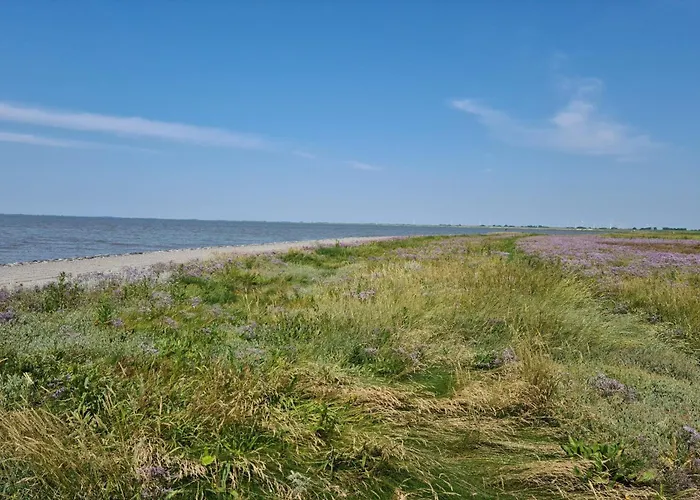 Haus Seehund Direkt Hinterm Deich An Der Nordsee * Sehestedt (Lower-Saxony)