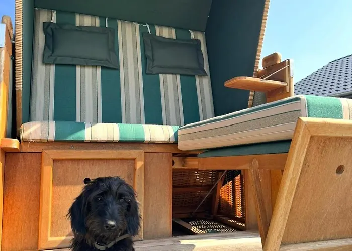 Haus Seehund Direkt Hinterm Deich An Der Nordsee * Sehestedt (Lower-Saxony)