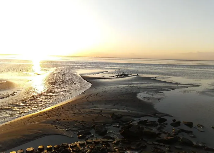 Haus Seehund Direkt Hinterm Deich An Der Nordsee *