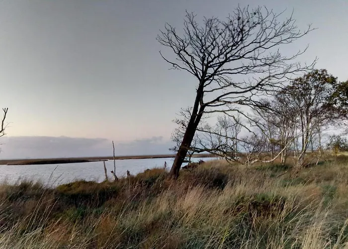Haus Seehund Direkt Hinterm Deich An Der Nordsee * Sehestedt (Lower-Saxony)