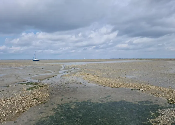 Haus Seehund Direkt Hinterm Deich An Der Nordsee